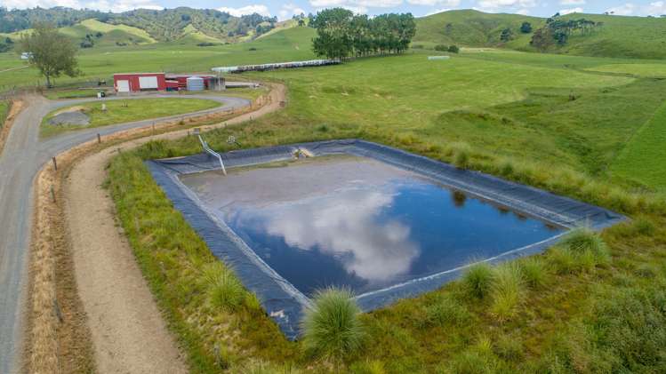 360 Manuel Road Tauhei_5