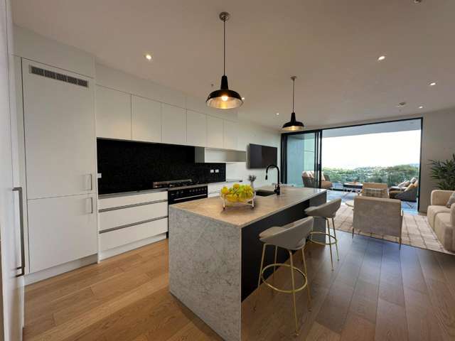 201/217 Great North Road Grey Lynn_2