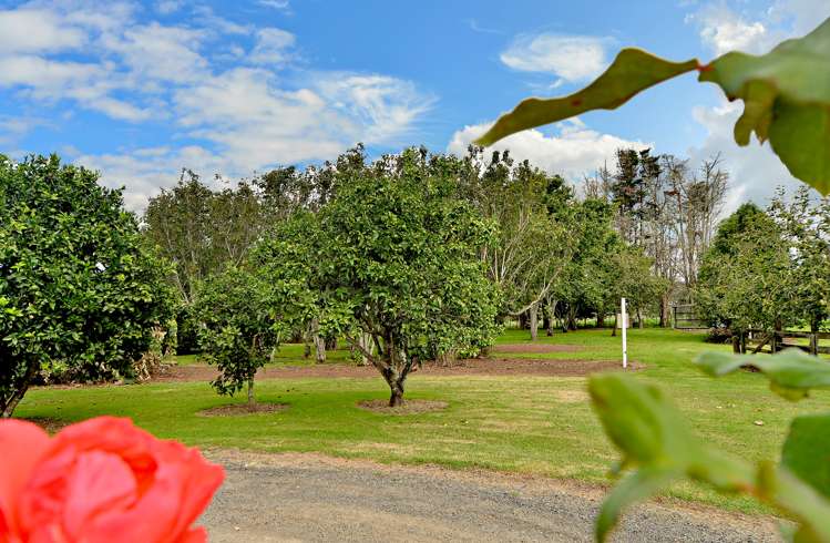 72 Yates Road Pukekohe_10