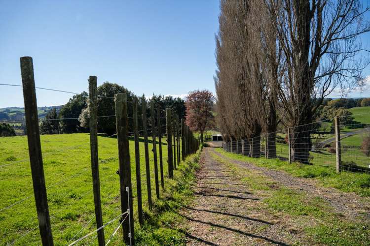 2/1873 Maungatautari Road Cambridge_5
