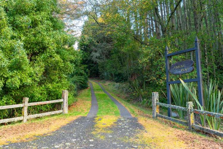 175 Forest Road Oruanui_37