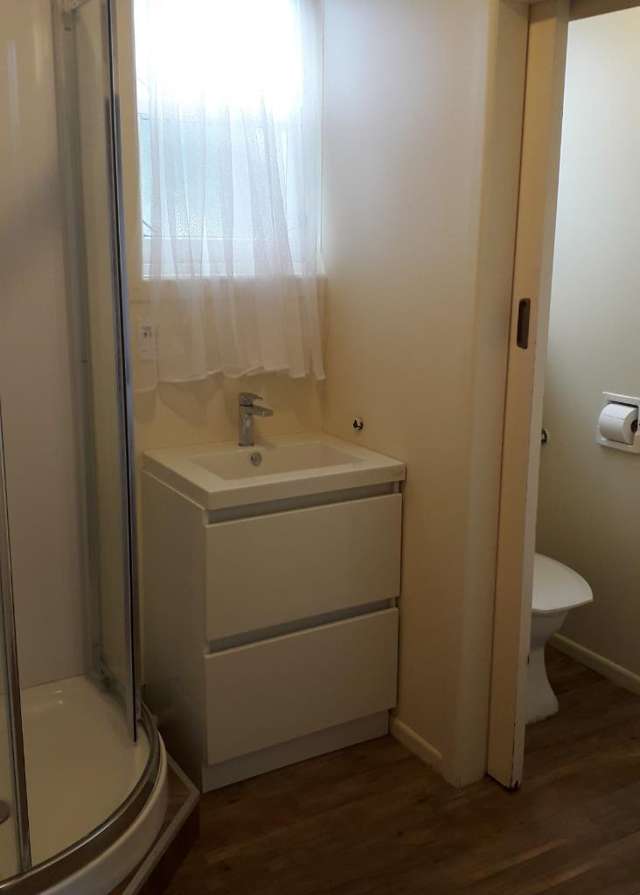 17A Awanui Street 11201_3