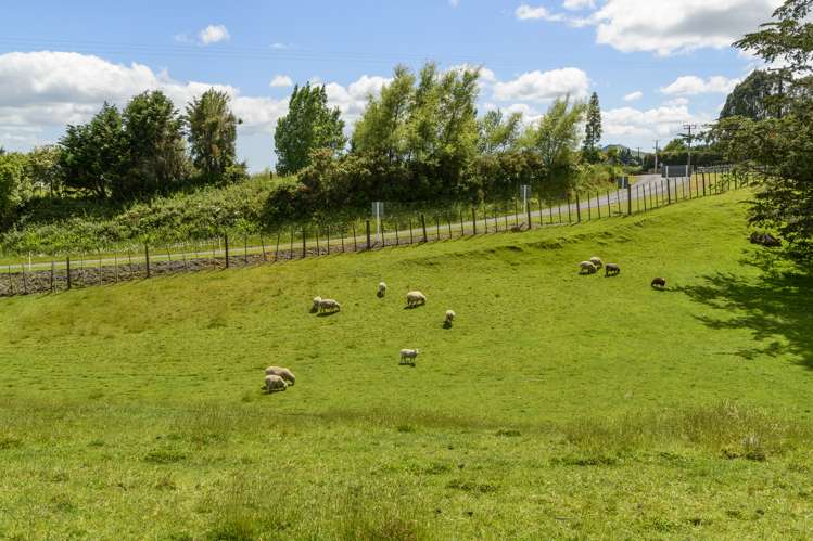 320 Glue Pot Road Oropi_23