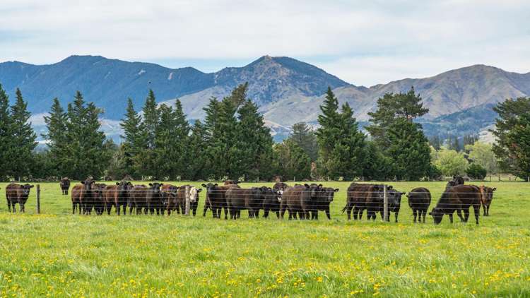 163 Woodbank Road Hanmer Springs_10