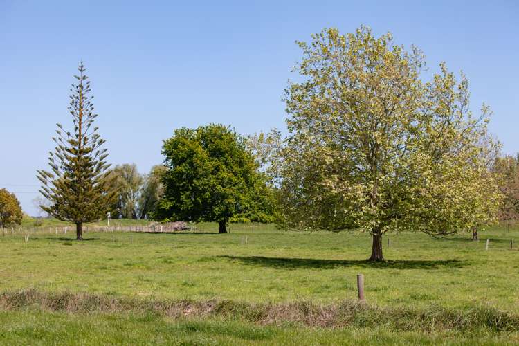 16 Ferry Road Hikutaia_20