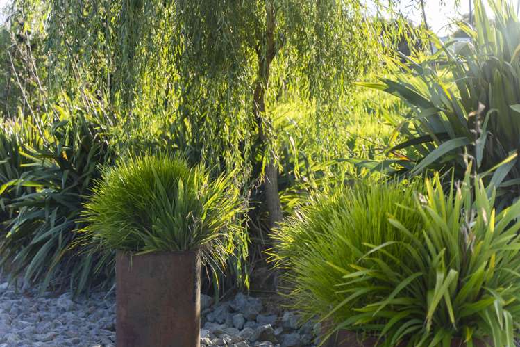 45C Finlayson Road Matarau_11