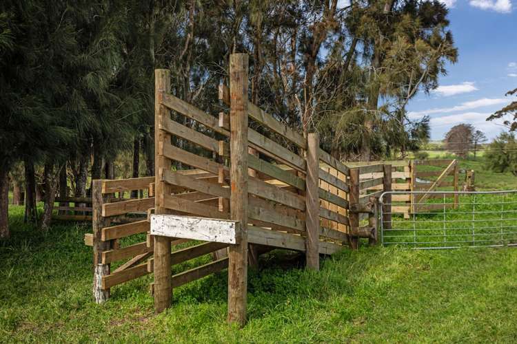 1685C Thornton Road Matata_42