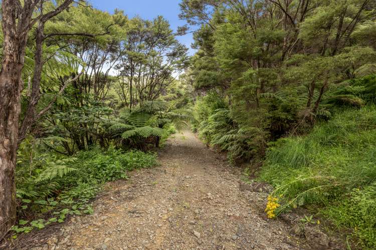 Lot 1,/16 Woodleigh Lane Mangawhai Heads_19