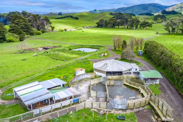 Post Office Road Pahiatua_1