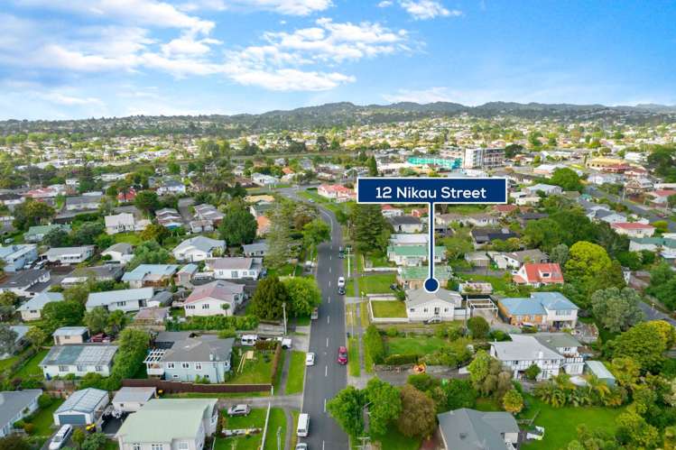 12 Nikau Street New Lynn_20