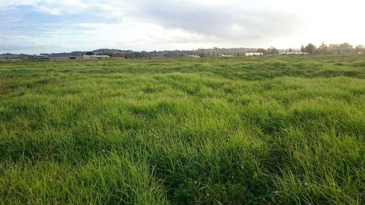 40 Aileron Rise Dairy Flat_1