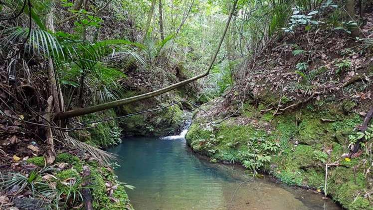 3211 Russell Road Whangaruru_17