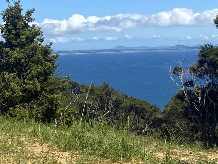 Lot 4/303 Waiaua Road Hihi_9