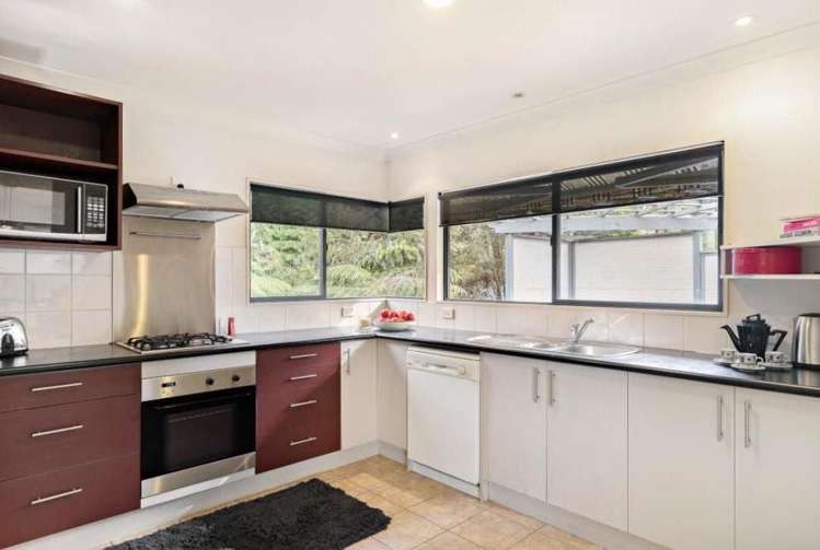 25A Bush View Lane Northcote Point_6