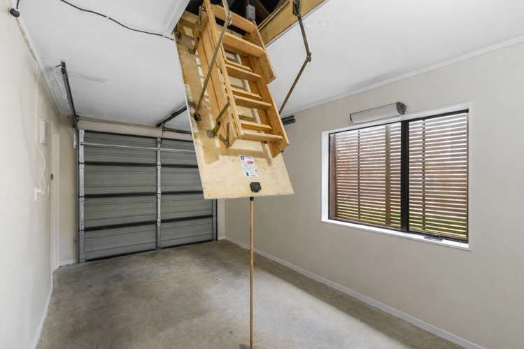 239A Hillsborough Road Hillsborough_22