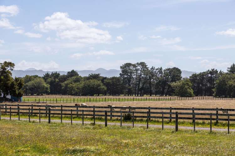 22 Spencer Lane Greytown_8