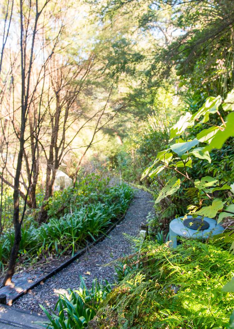 649 Riverside Road Matokitoki_11