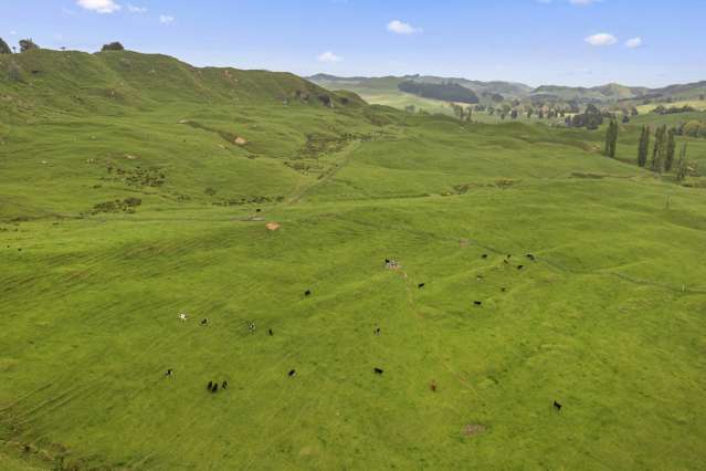 Prime Cattle Grazing Land - 260 Hectares