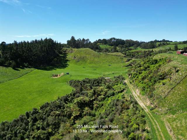 Expansive 13 ha lifestyle block