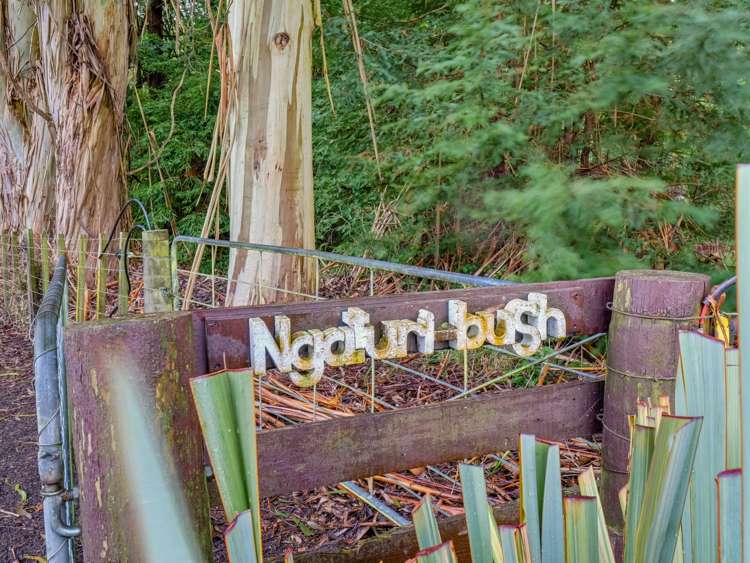 765 Pahiatua Pongaroa Road_0