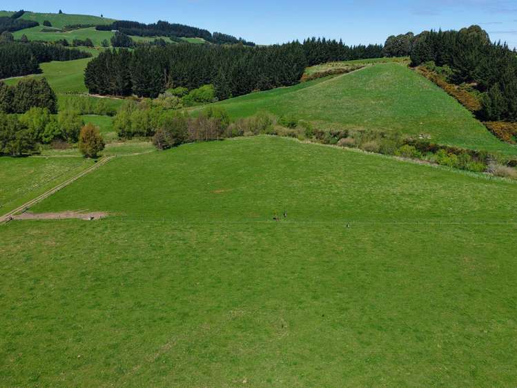 571 Three Mile Hill Road North Taieri_31