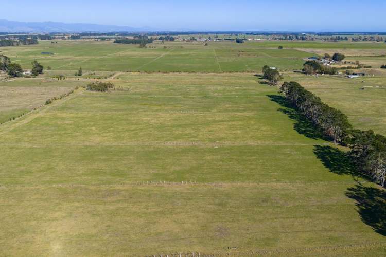 177 Downs Road Himatangi_8