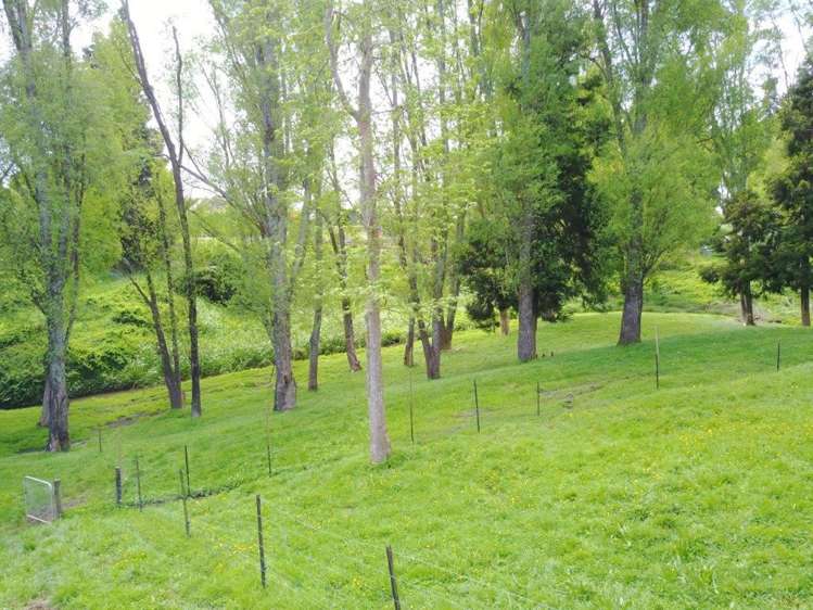 43 Willow Brook Lane Te Kowhai_7