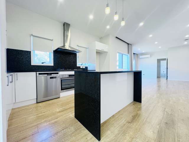 11 Hardley Avenue Mount Roskill_2