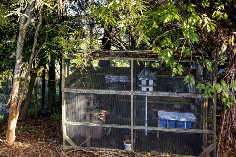 196 Seaview Road Westown_22