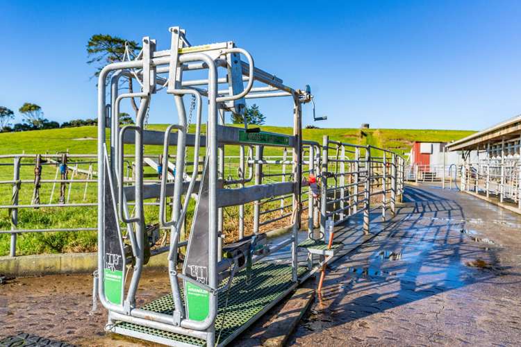 454 West Coast Road Te Kopuru_11