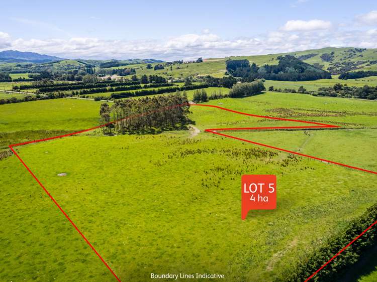 Lot 5, 216 Donovans Road Masterton_0