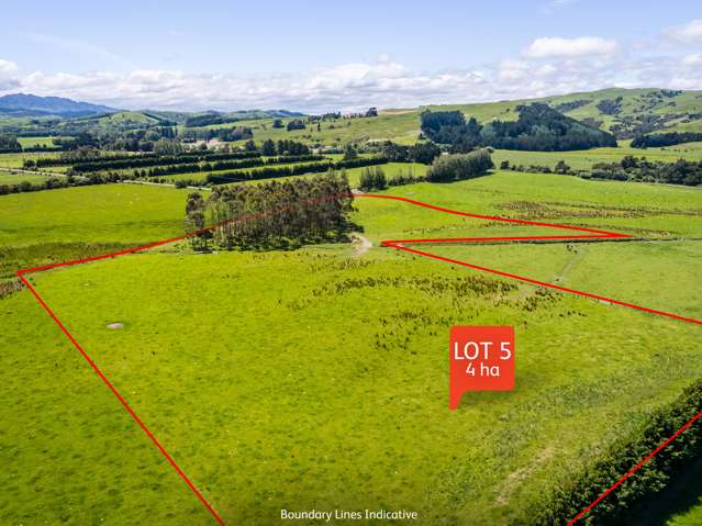 Lot 5, 216 Donovans Road Masterton_2