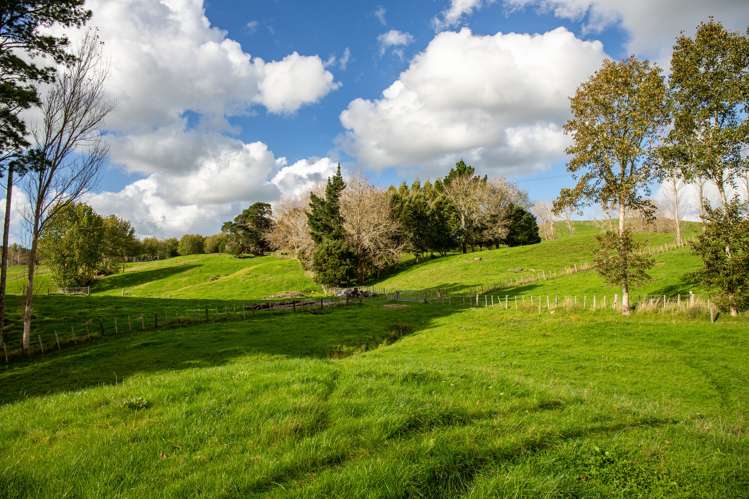 945 Waiotira Road Mangapai and Surrounds_8