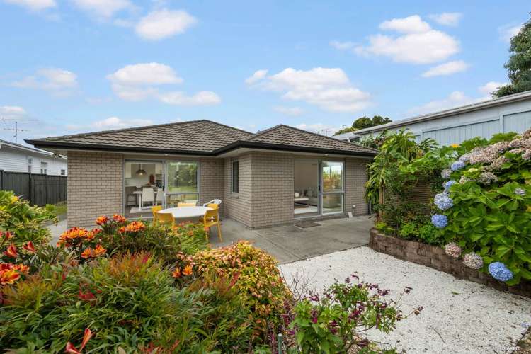 30 Boyd Avenue Royal Oak_20