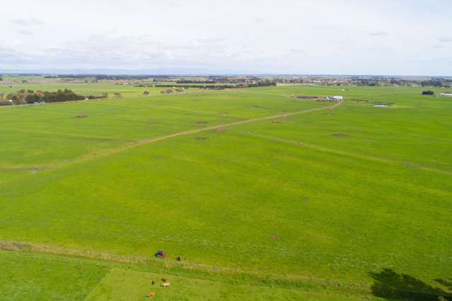 287 State Highway 1 Bulls_2