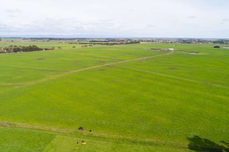 287 State Highway 1 Bulls_2