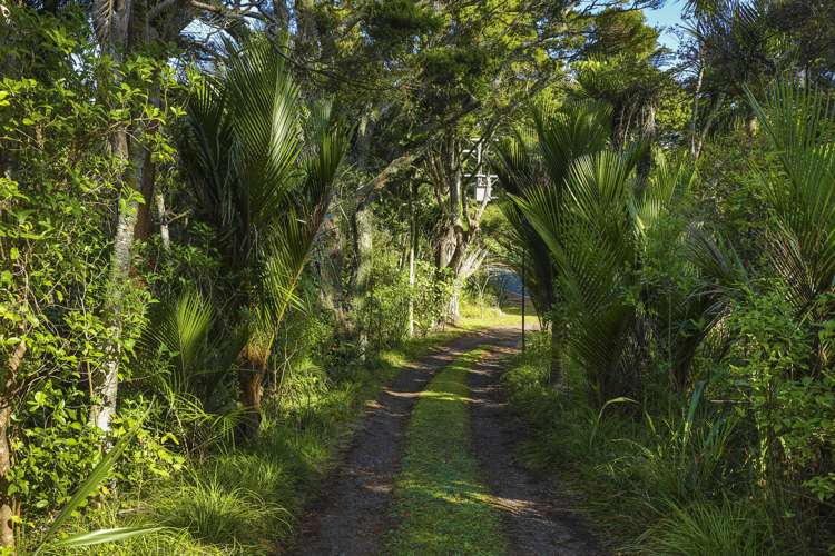 103 Hinau Road Waimauku_23