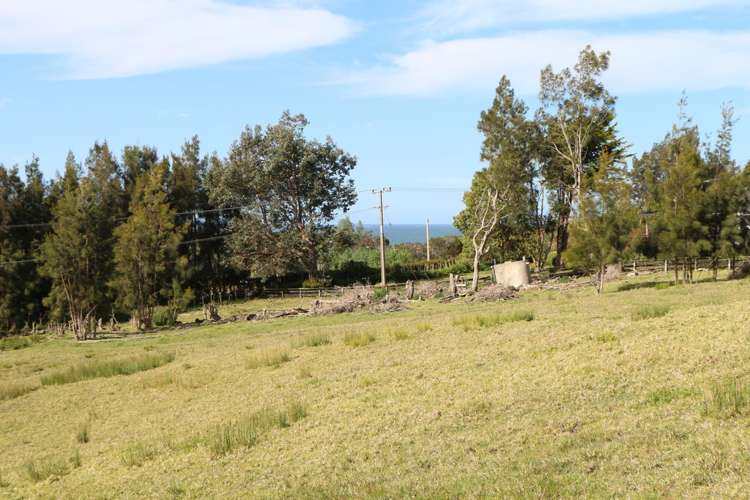 State Highway 10 Taipa_4