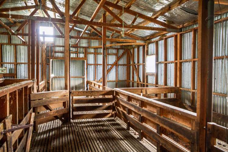 142 Deep Creek Road Waimate_13