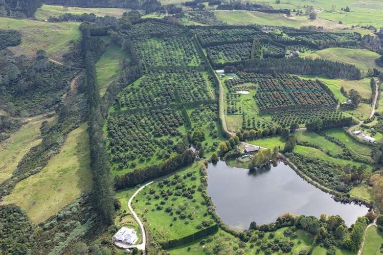 121C Purangi Road Whenuakite_12