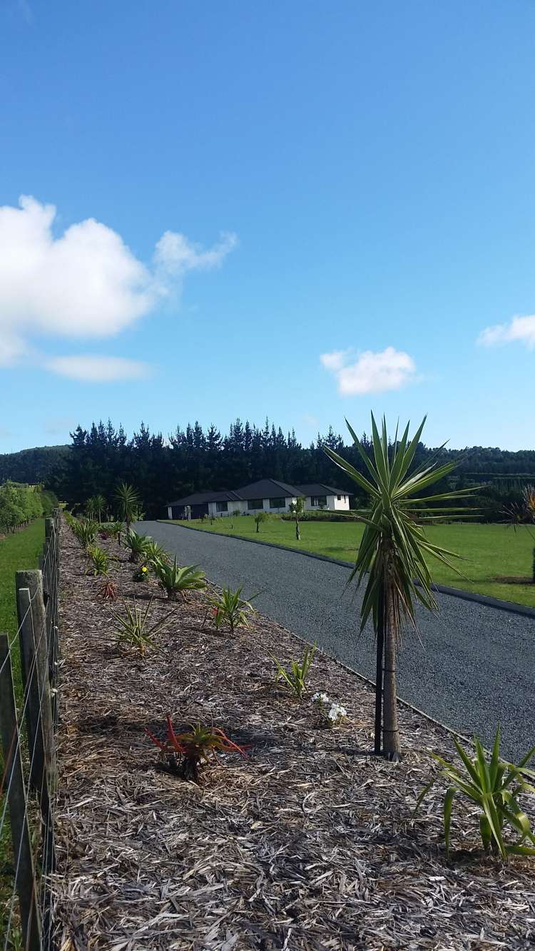 76 Whatitiri Road Maungatapere_31