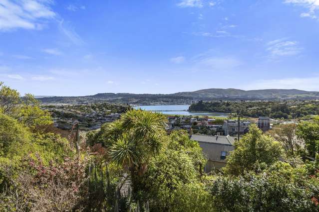 8 Merchiston Street Andersons Bay_1