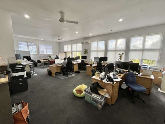 58 Surrey Crescent Grey Lynn_2