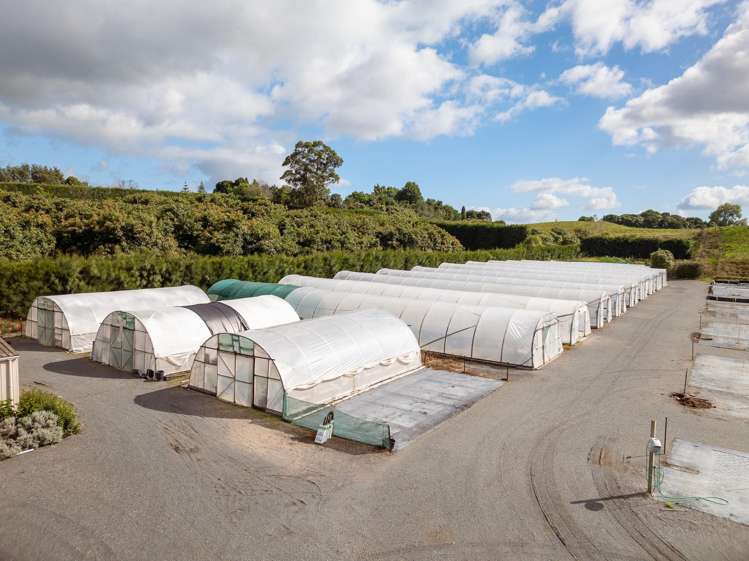 389 Old Highway Whakamarama_9