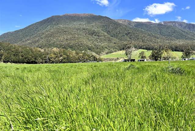 848 Palmer Road Springs Junction_2