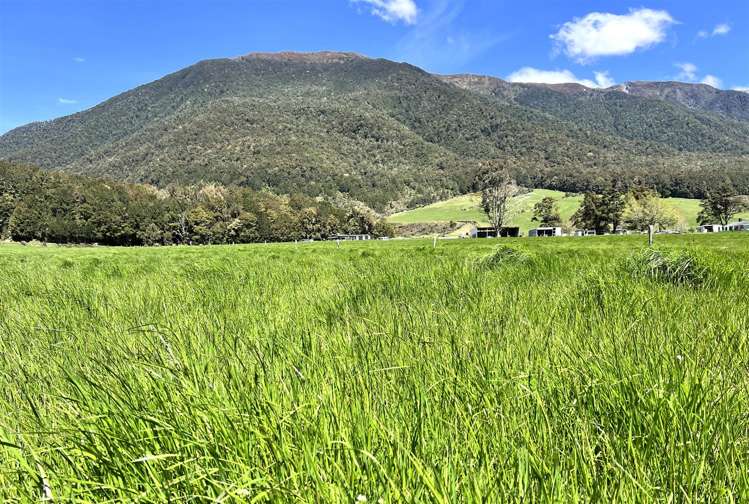 848 Palmer Road Springs Junction_2