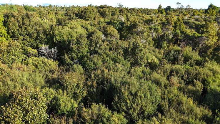 Lot 1 South Terrace Road Karamea_23