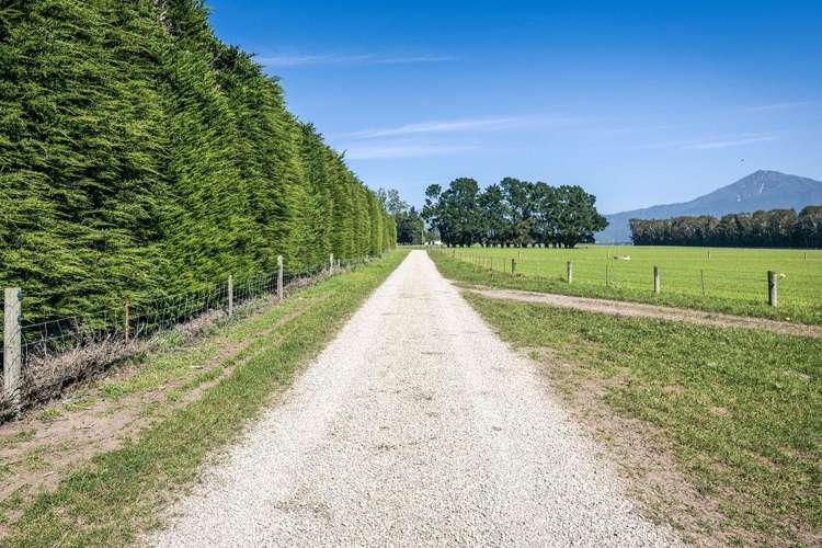 1710 Ealing Montalto Road Ashburton_35