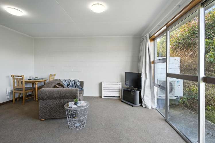 10 Pennant Street Wakari_4