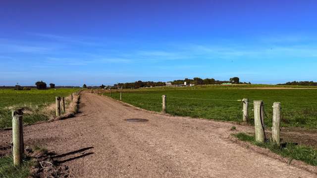 81 Tapper Road Mokotua_3